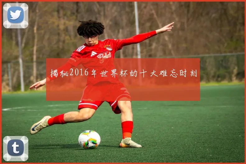 揭秘2016年世界杯的十大难忘时刻